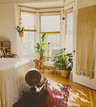 clean bedroom with sunny window and plants